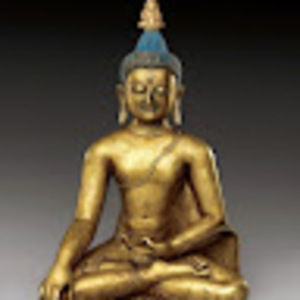 Meet your Posher, Madie